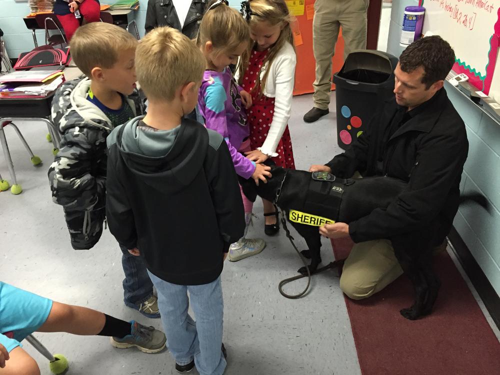 students petting Keelo