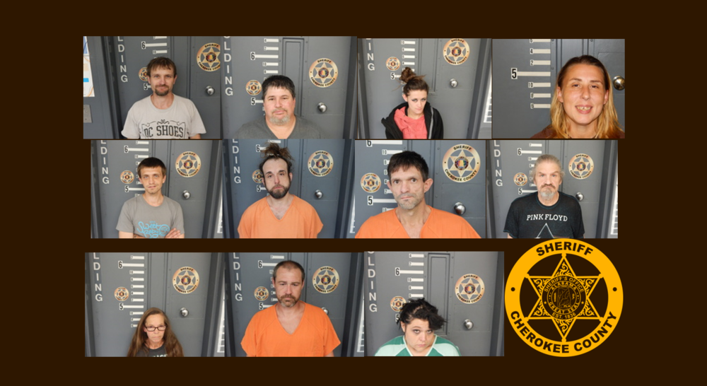 Sheriff’s Office Arrests 11 Individuals on Drug Charges in 2day Period