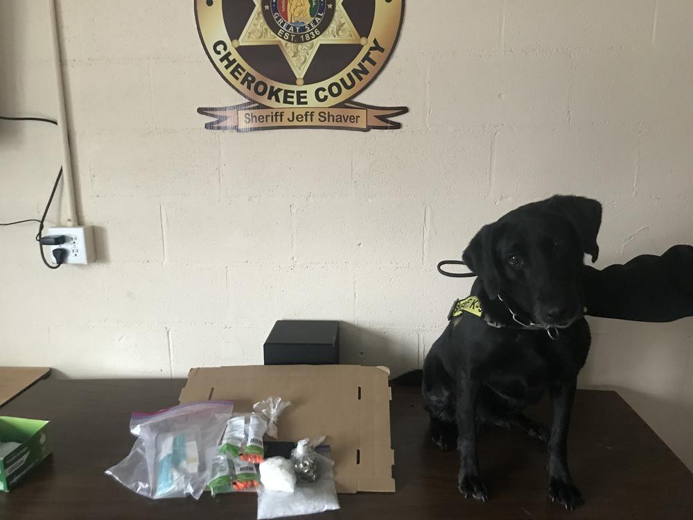 Keelo the Sheriff office k9 and the illegal drugs found during a search of a vehicle