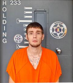 Mugshot of SLAYTON, MITCHELL