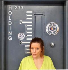 Mugshot of MIDDLEBROOKS, BRIDGET