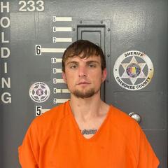 Mugshot of HENDERSON, BRANDON 