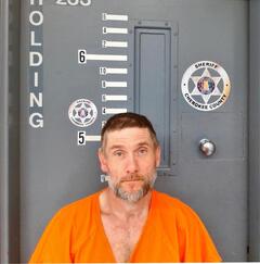 Mugshot of PHILLIPS, DAVID