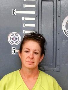 Mugshot of WOLFE, TINA