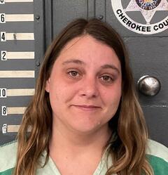 Mugshot of HOLLOWAY, FRANCES