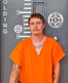 Mugshot of STEPHENS, TIMOTHY