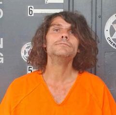 Mugshot of WADE, SHANE