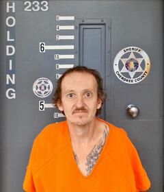 Mugshot of COLE, JAMIE