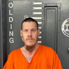 Mugshot of NICHOLSON, JONATHAN