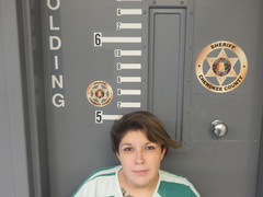 Mugshot of LOWERY, CHARITY FAITH