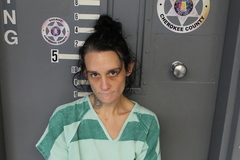 Mugshot of WEBB, BRANDIE NICOLE