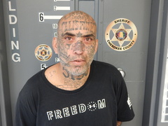 Mugshot of MILLS, RUDY LEE