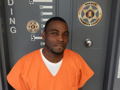 Mugshot of PERRY, LOVELL GRANT