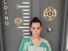Mugshot of ROSSER, HEATHER NICOLE
