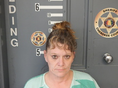 Mugshot of SEALE, TONYA ANN