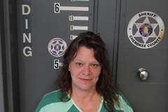 Mugshot of SEALE, TONYA ANN