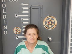 Mugshot of NORRIS, BOBBIE JEAN