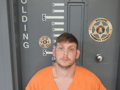 Mugshot of LONG, SEAN RYAN