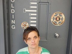 Mugshot of TIERCE, JENNIFER KAY