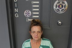 Mugshot of MILLER, SONDRA DENISE