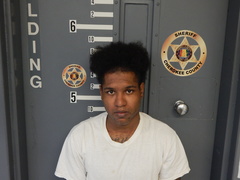 Mugshot of WILLIAMS, DARRIUS ISAIAH