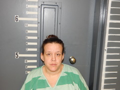 Mugshot of LAND, CHRYSTAL LEE