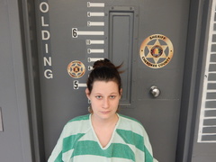 Mugshot of HERMAN, NINA MICHELLE