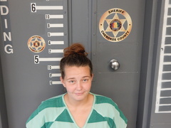 Mugshot of DAVIS, KIMBERLY ELAINE