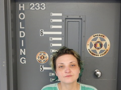 Mugshot of HYFIELD, MORGAN SARRATT