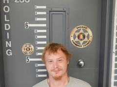 Mugshot of BROWN, JOSHUA RAY