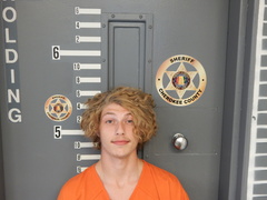 Mugshot of WHITLOCK, CHRISTIAN VAN