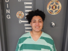 Mugshot of COWSER, EMILY MARIE
