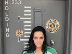 Mugshot of COMER, CHRISTA STEWART