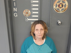 Mugshot of MCILVAINE, DIANE ELIZABETH