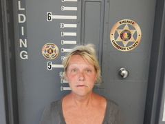 Mugshot of PRESSLEY, KATHY MORRIS