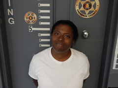Mugshot of SULLIVAN, ASHLEE NICOLE