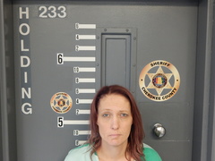 Mugshot of JOHNSON, HELEN ANN