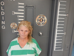 Mugshot of BARBER, RUTH ANN