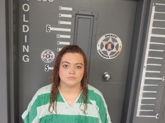 Mugshot of LEE, VICTORIA JEAN