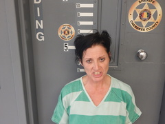 Mugshot of WILSON, SANDY WAYNETTE