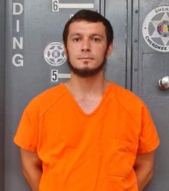Mugshot of HUDGINS, ANTHONY