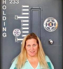 Mugshot of EARLY, AMANDA  