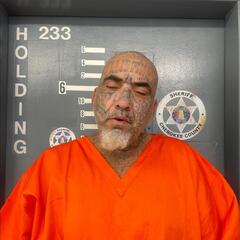 Mugshot of MILLS, RUDY