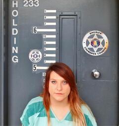 Mugshot of HEINING, DANIELLE