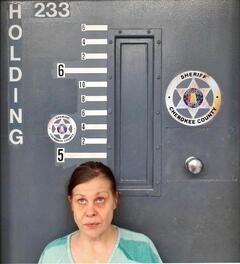 Mugshot of TODD, AMY