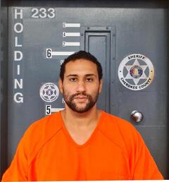 Mugshot of BANKS, NICHOLAS
