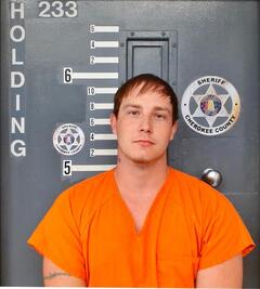 Mugshot of WEBB, DAKOTA