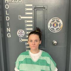 Mugshot of NEAL, HALEY