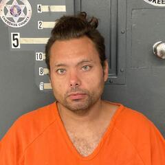 Mugshot of BROWN, GARY  