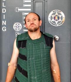 Mugshot of SISSON, LUTHER